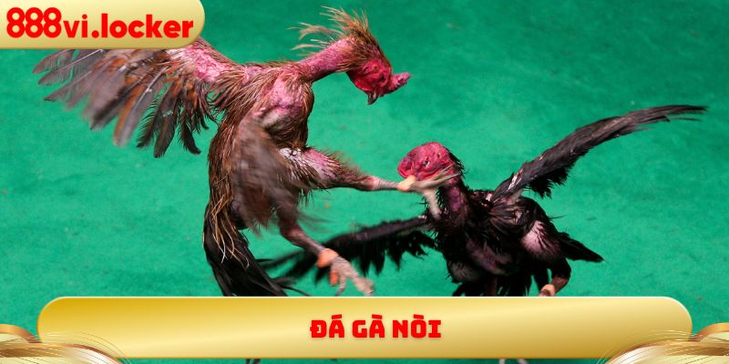 đá gà nòi