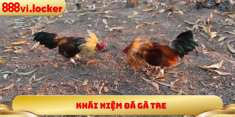 Khái niệm đá gà tre