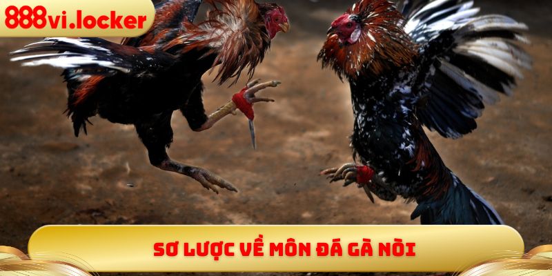 Sơ lược về môn đá gà nòi